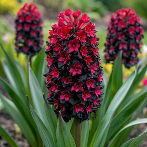 Гиацинт Джем Стоун купить по цене от 2099р. в интернет-магазине «Посадика» с доставкой почтой в в Котельникие и по всей России – [изображение №1].