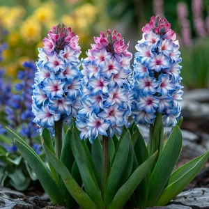 Гиацинт Пинк Мари купить по цене от 2099р. в интернет-магазине «Посадика» с доставкой почтой в в Котельникие и по всей России – [изображение №1].