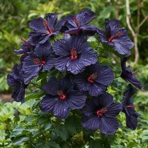 Гибискус Мэджик Момент купить по цене от 699р. в интернет-магазине «Посадика» с доставкой почтой в в Котельникие и по всей России – [изображение №1].