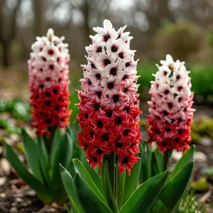 Гиацинт Скай Гарден купить по цене от 2099р. в интернет-магазине «Посадика» с доставкой почтой в в Котельникие и по всей России – [изображение №1].